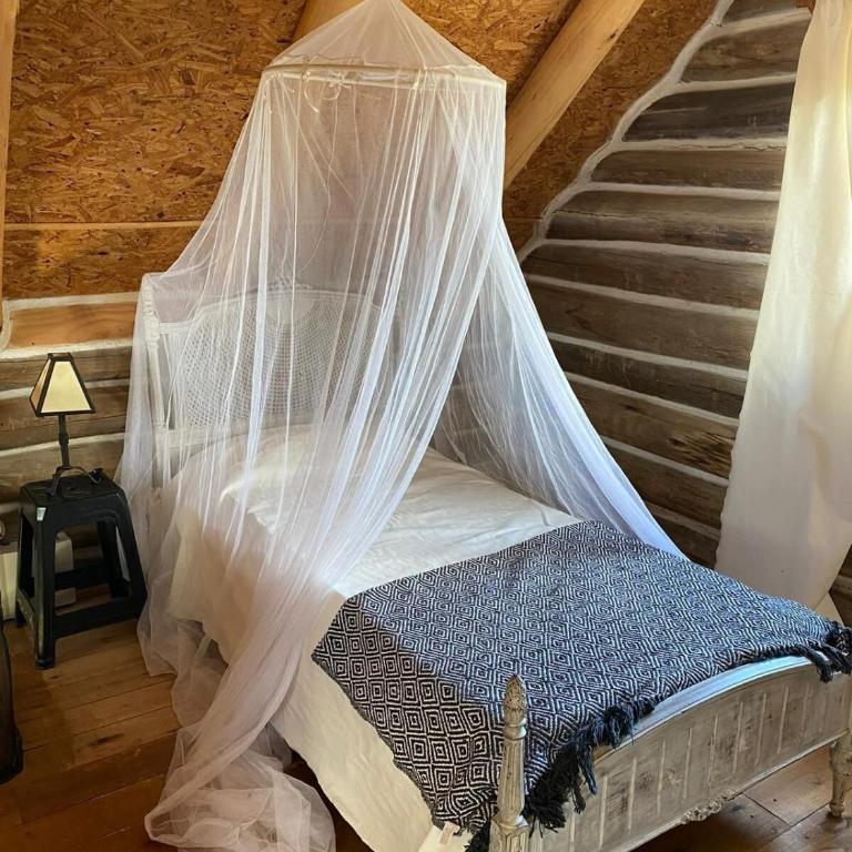 Punta Rubia Oceanic Cabin - One-Bedroom House - 6