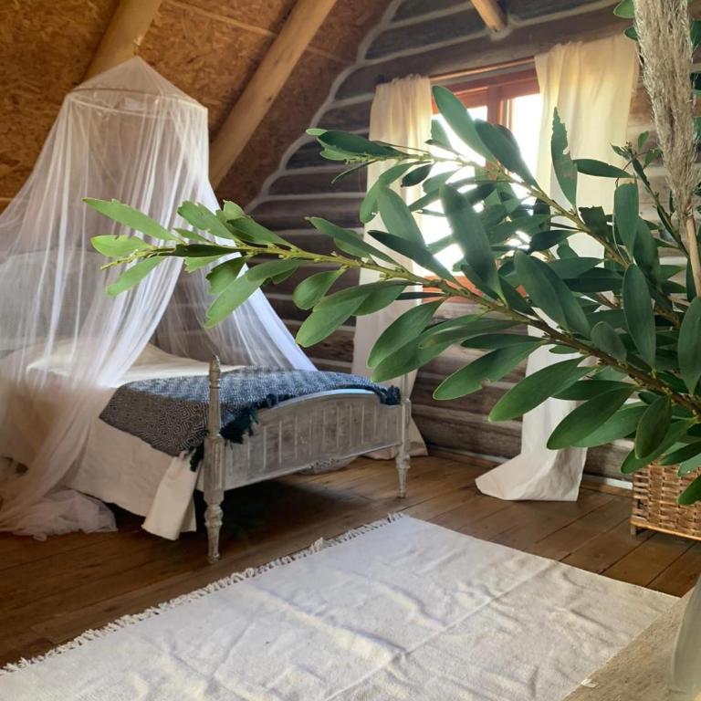 Punta Rubia Oceanic Cabin - One-Bedroom House - 15