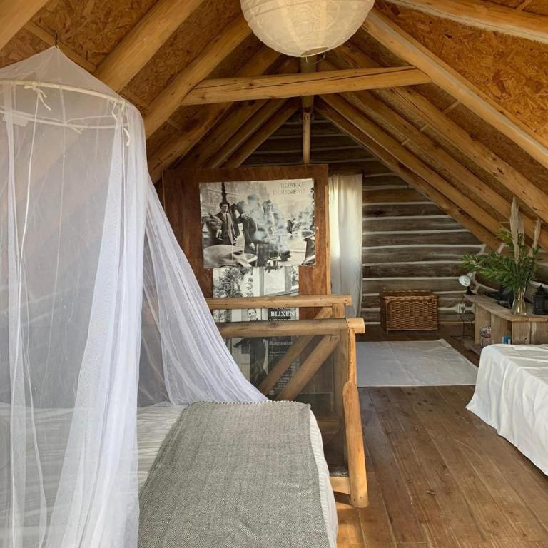 Punta Rubia Oceanic Cabin - One-Bedroom House - 22