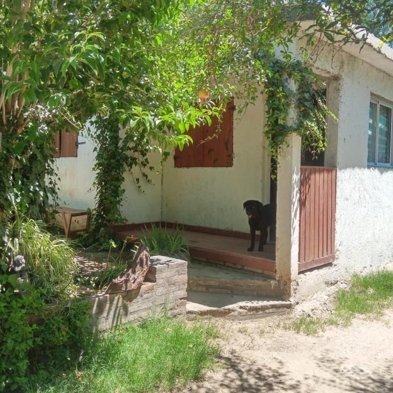 Casa jazmines - One-Bedroom House - 3