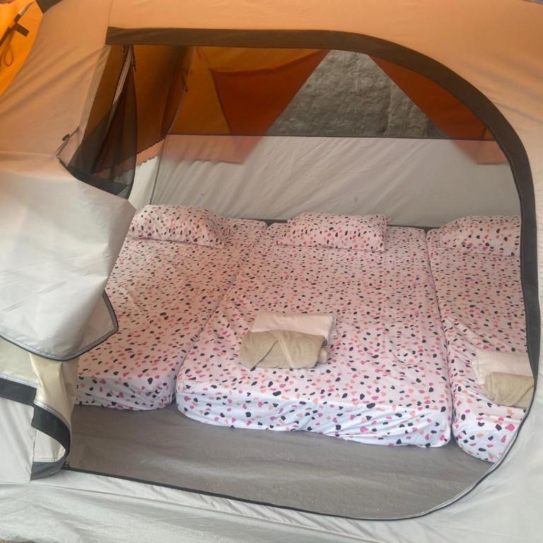 Camping Casa Nordica - Tienda - 4