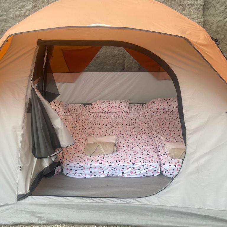 Camping Casa Nordica - Tienda - 2