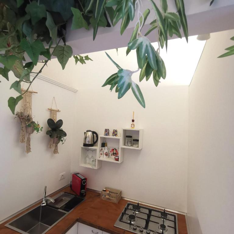 Tiritù Apartments - Monolocale Deluxe - 7