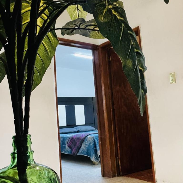 Dahlia House in Querétaro City - Three-Bedroom House - 38