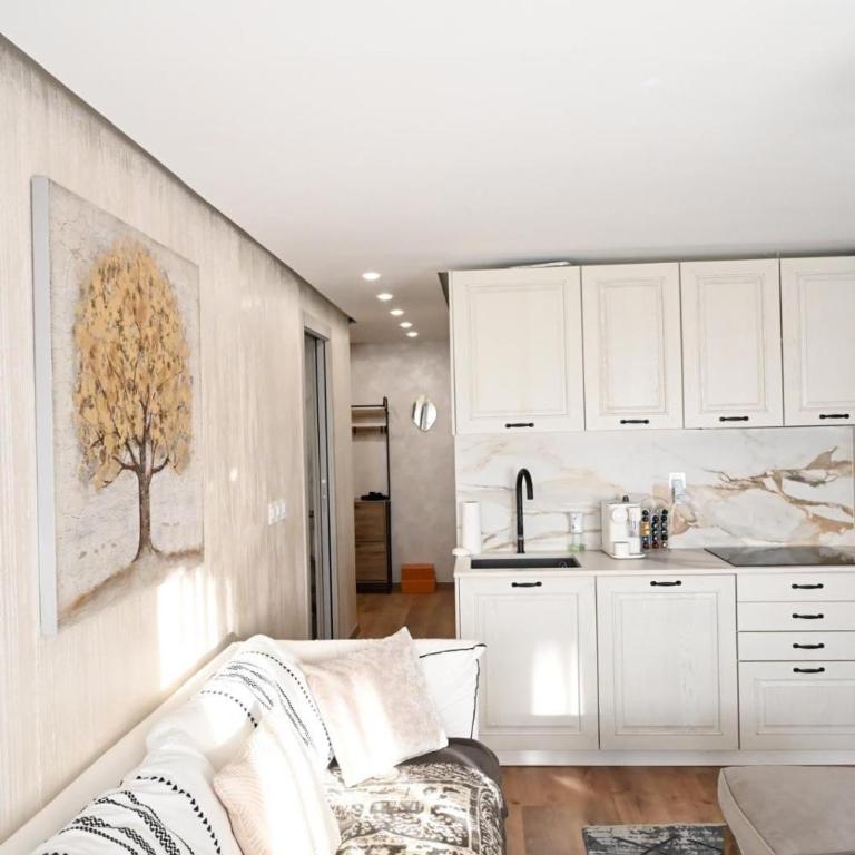Crans Montana-Snow island - Apartamento de 1 dormitorio - 14