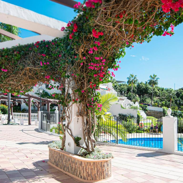 Oasis de Capistrano, Calle Las Palmas 24 B - Apartamento de 2 dormitorios - 30