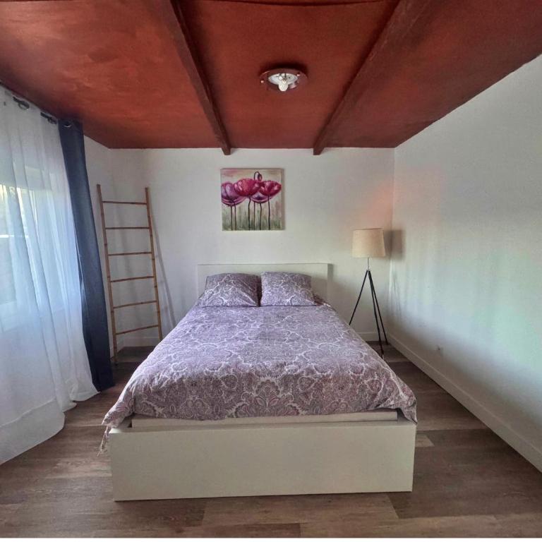 T3 Les pieds dans l'eau - Appartement 2 Chambres - 8