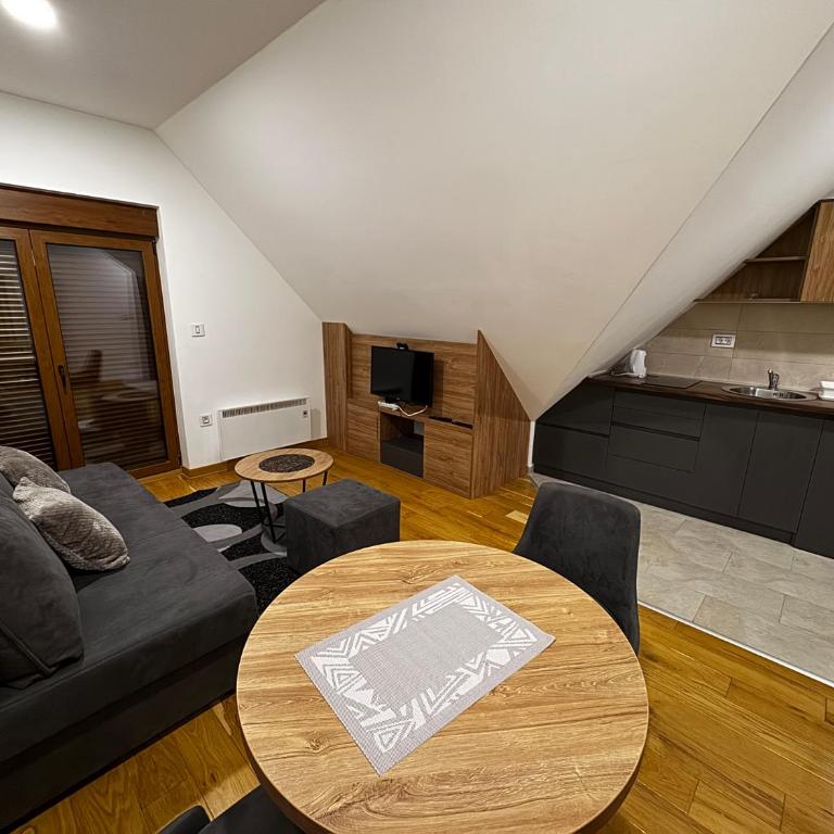 Vila Katalina Spa & Resort - Studio sa Sofom na Izvlačenje - 1