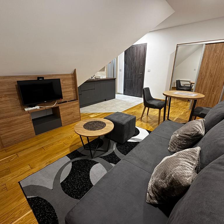 Vila Katalina Spa & Resort - Studio sa Sofom na Izvlačenje - 2