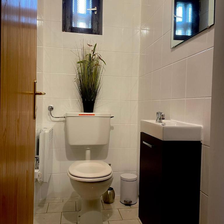 Apartment Alpenstille Flattnitz - Apartment mit 1 Schlafzimmer - 16