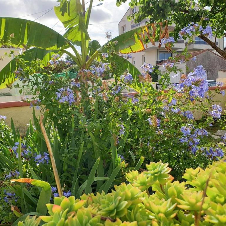 Royan - MAISON RUSTIQUE avec jardin clos - proche COMMERCES et PLAGES - Maison 2 Chambres - 25