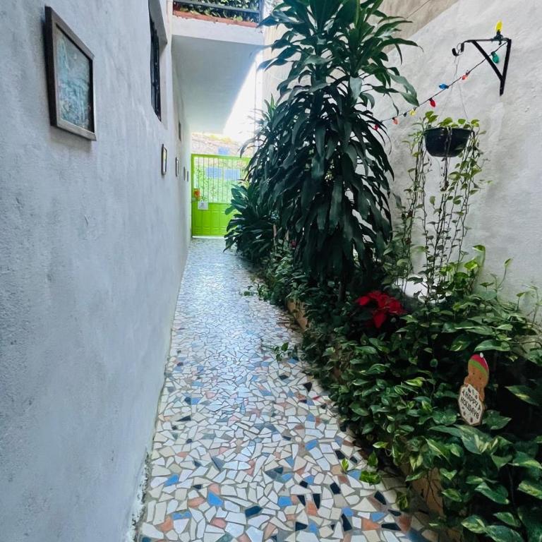 Orange Butterfly - One-Bedroom Apartment - 11