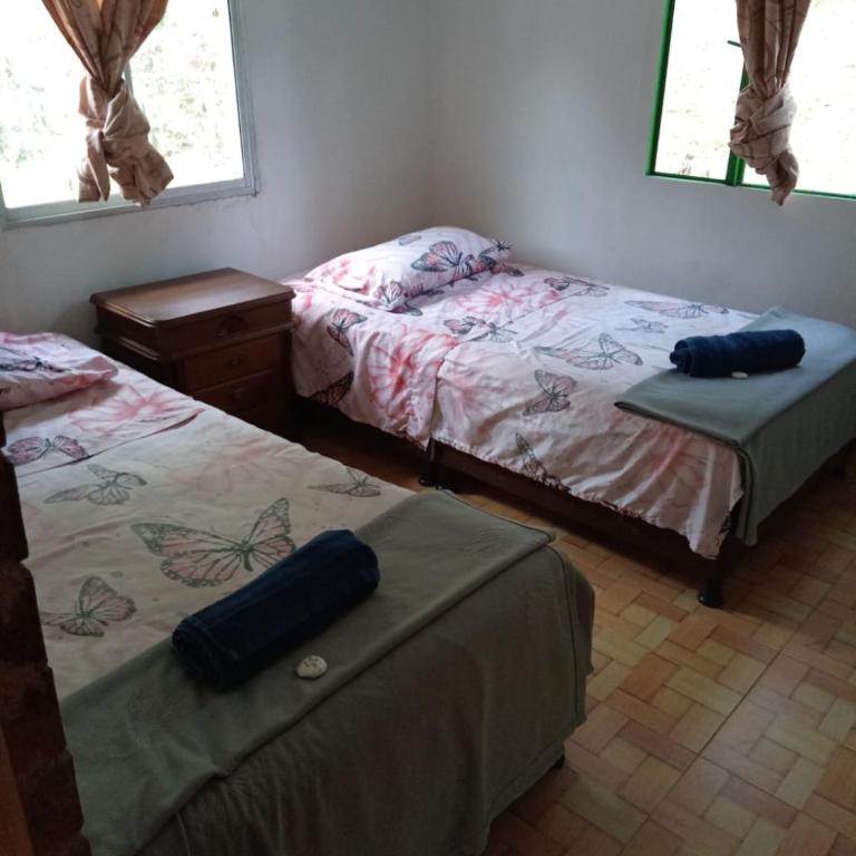 Eco Hotel Entre Ríos - Habitación Doble Estándar - 2 camas - 1