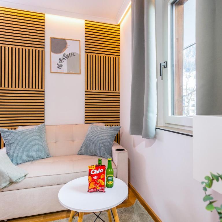 Mäxle Apartments - Studio with Balcony - 12