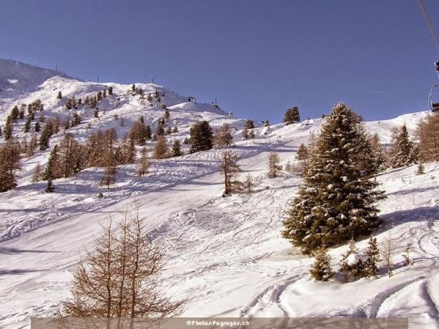 Thyon 4pièces, proche des pistes - Maison 3 Chambres - 20