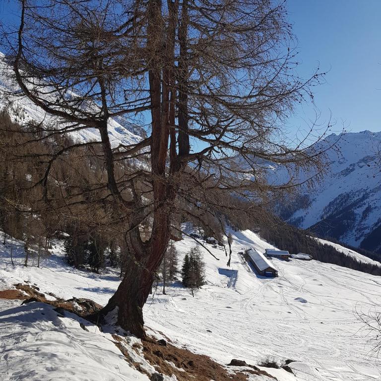 Thyon 4pièces, proche des pistes - Maison 3 Chambres - 27