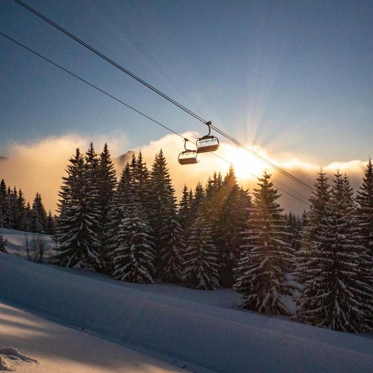 Chanterelle Apartment - Snow and Trek - Morzine - Apartment - 27