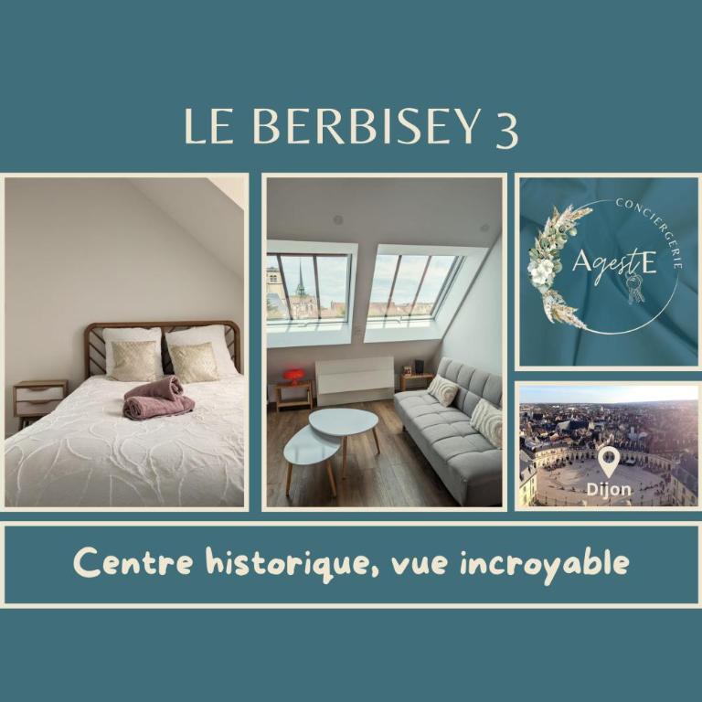 Berbisey 3 - Appartement 1 Chambre - 1