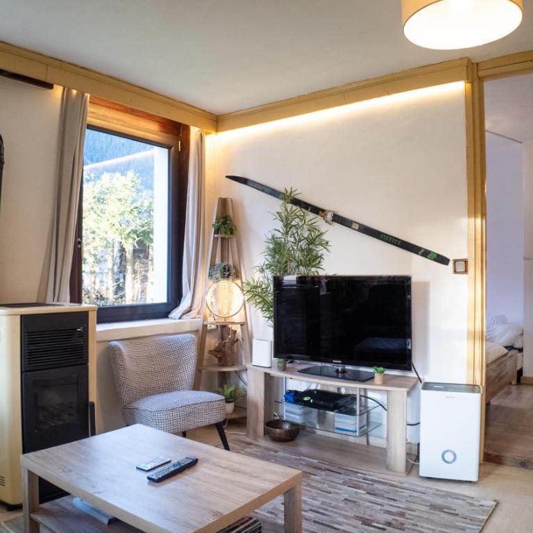 Chalet la Pagode, vue Mont-Blanc et jardin privé - Appartamento con 2 Camere da Letto - 6