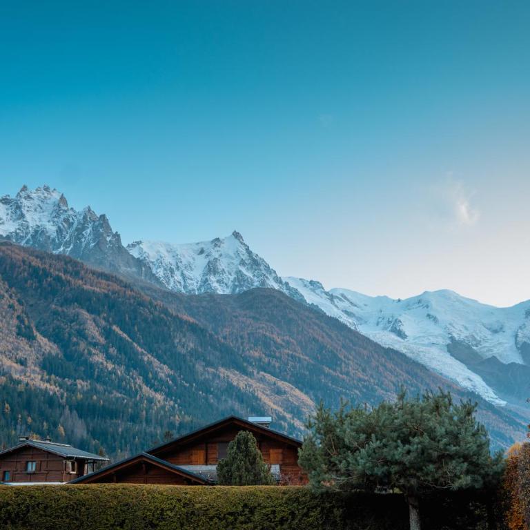 Chalet la Pagode, vue Mont-Blanc et jardin privé - Appartamento con 2 Camere da Letto - 2