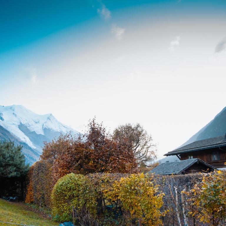 Chalet la Pagode, vue Mont-Blanc et jardin privé - Appartamento con 2 Camere da Letto - 18