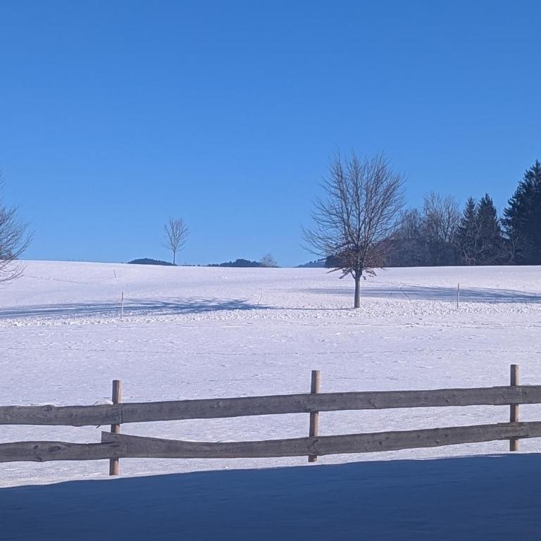 Allgäu Bergluft - Apartment - 67