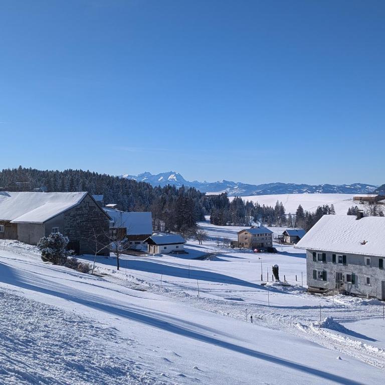 Allgäu Bergluft - Apartment - 74