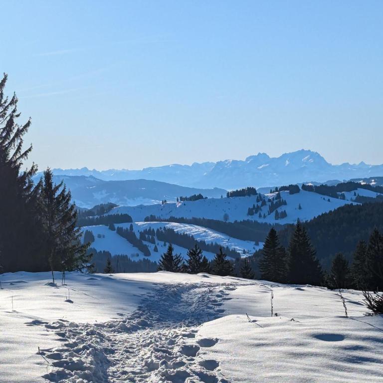 Allgäu Bergluft - Apartment - 68