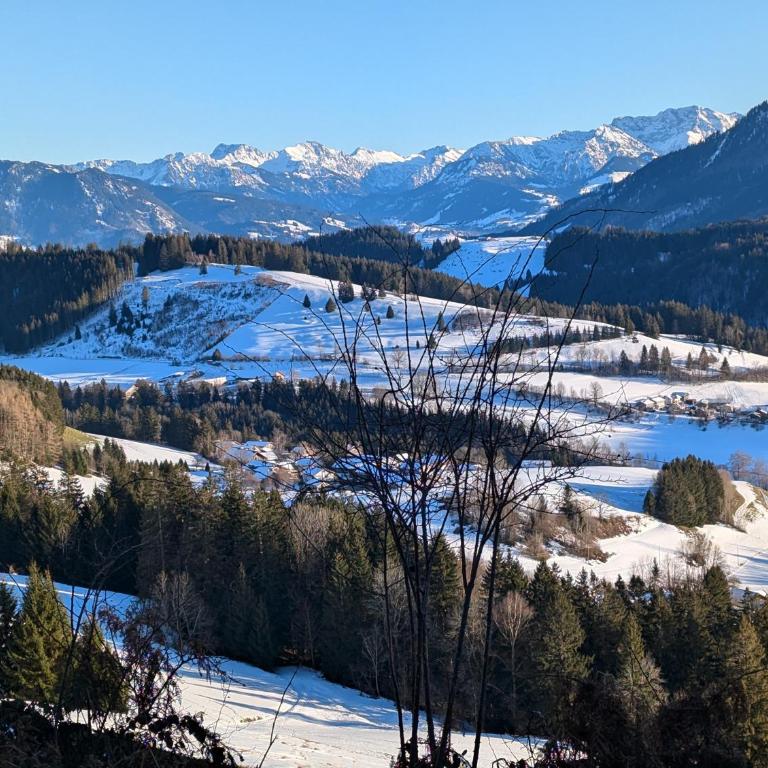 Allgäu Bergluft - Apartment - 71