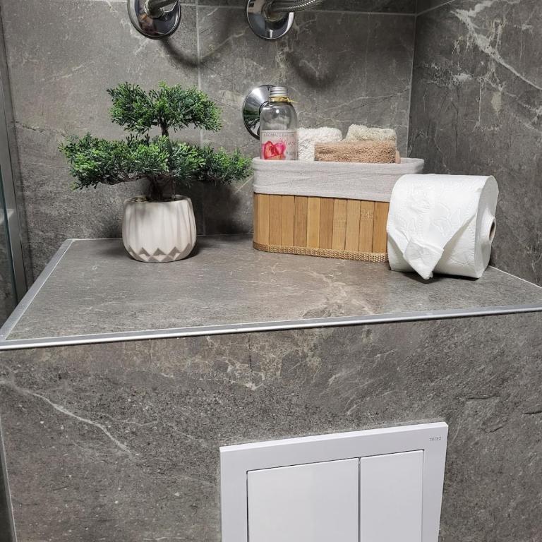 Cozy Kop, Free Parking, SPA for additional price - One-Bedroom Apartment - 5