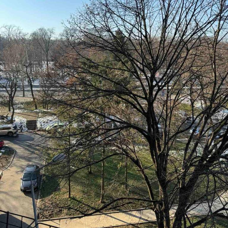 Apartman Dedinje - Hyde Park - Apartman sa 2 Spavaće Sobe - 6