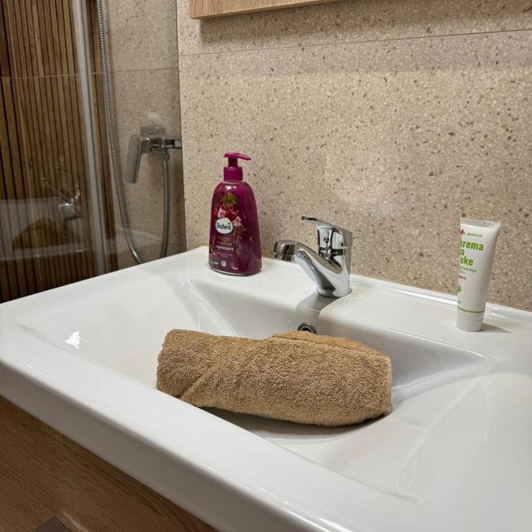 Apartman Iris - Apartman sa 1 Spavaćom Sobom - 15
