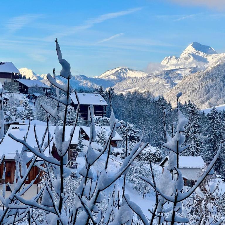 Loue chalet Megève proximité pistes Rochebrune et centre-ville - Chalet - 33