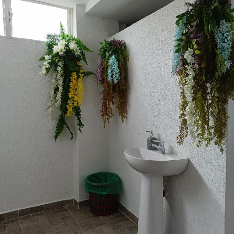 Corales Home, Estadio, ExpoFuturo, Amazon, Disney - Apartamento de 3 dormitorios - 34