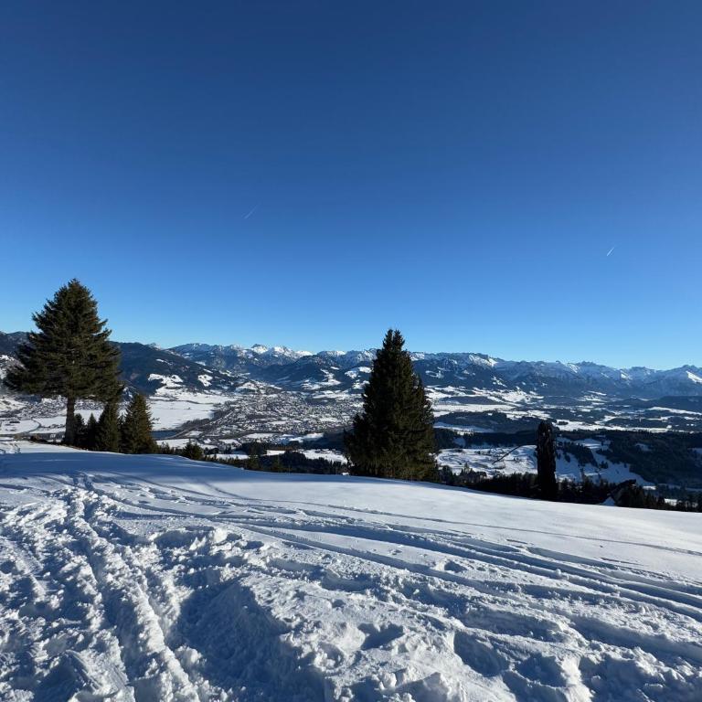Allgäu Bergluft - Apartment - 91