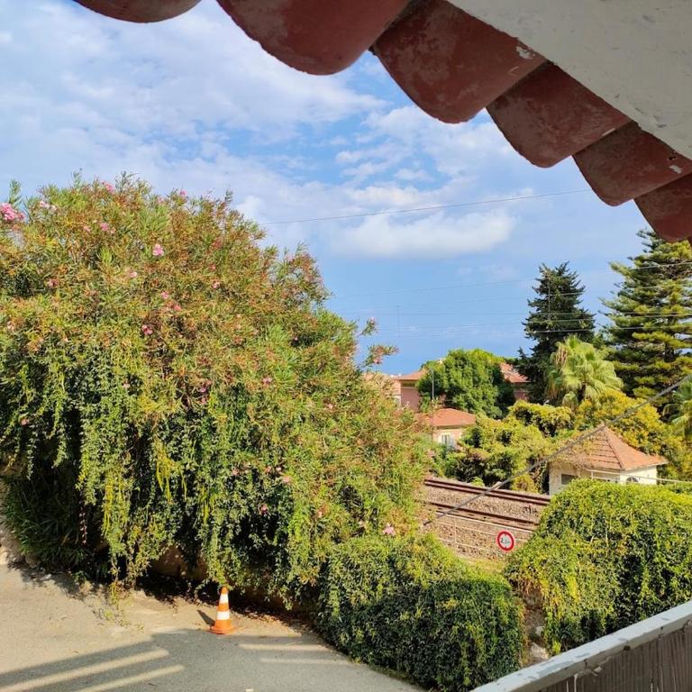 Appartement 2 pieces avec place de parking extérieur à Beaulieu-sur-Mer - Appartement 1 Chambre - 13
