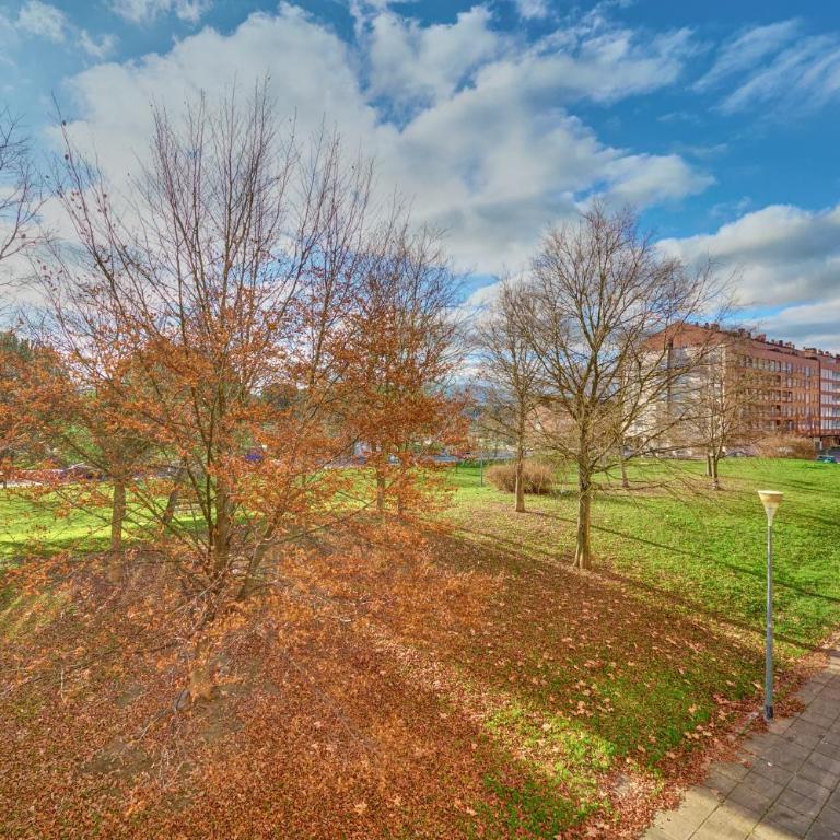 Mirasierra Suites Pamplona - Apartamento Superior - 22
