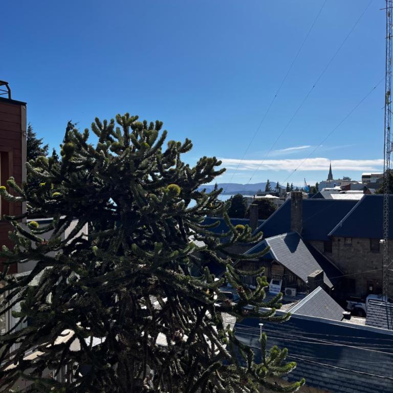 303 Bariloche - Apartamento de 1 dormitorio - 14