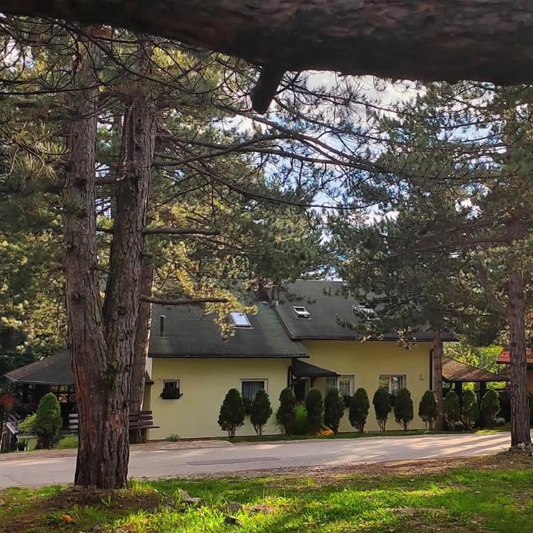 Cvet - Apartman sa 1 Spavaćom Sobom - 1