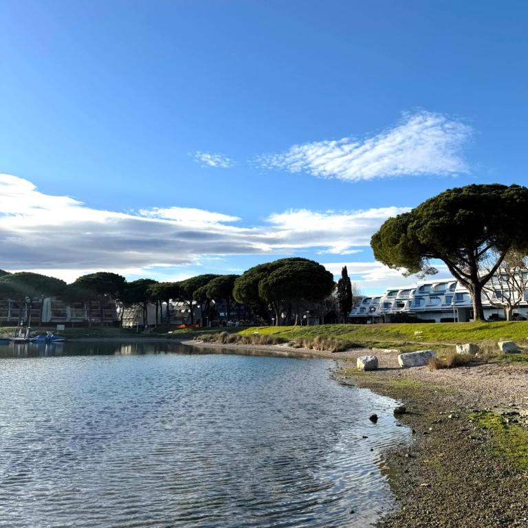 Ponant La Grande Motte Cosy Studio 4 pers Parking,Clim,piscine, Golf, Plage - Appartamento con 1 Camera da Letto - 11