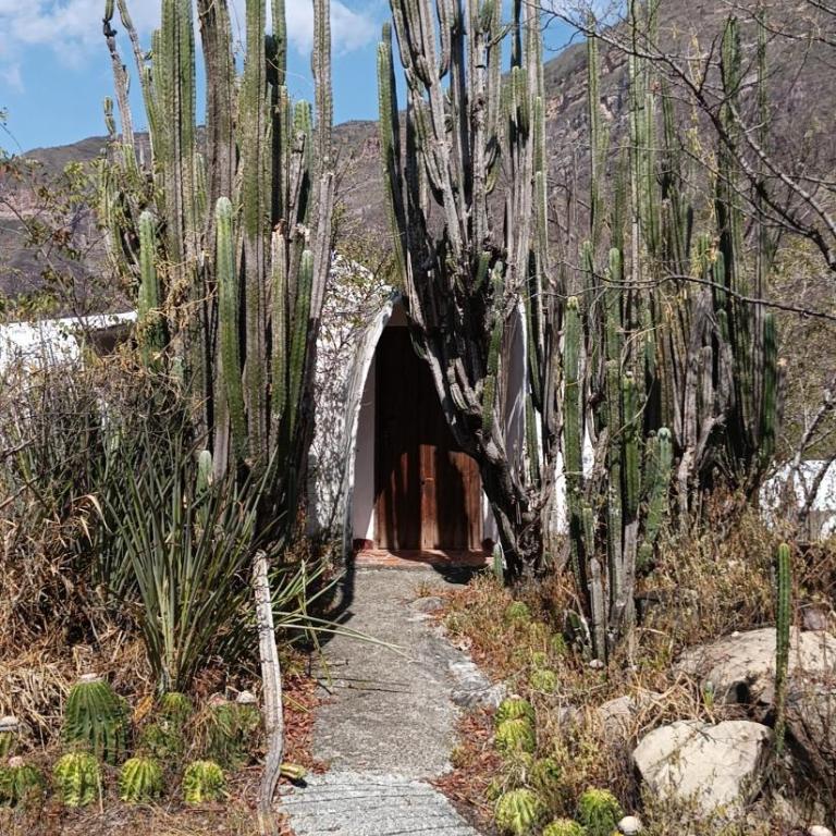 Refugio Shangrila - Triple Room with Private Bathroom - 4