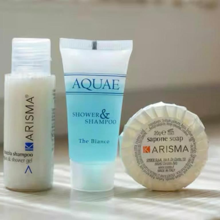 Vatican City Historic Center -Luxury Flat with Garden and Private Parking - Appartamento con 3 Camere da Letto - 19