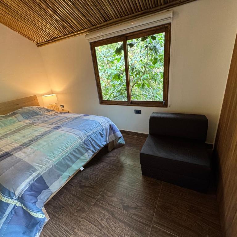 Cabaña Coffee Suite - Habitación Doble con baño privado - 15