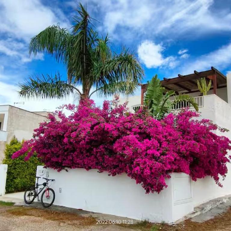 WOW Casa vacanza il Rosmarino - Casa con 2 Camere da Letto - 1