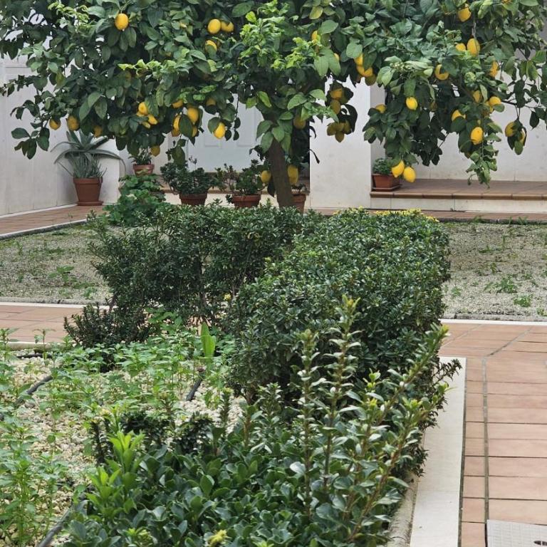 Apartamento Menina San Pedro - One-Bedroom Apartment - 5