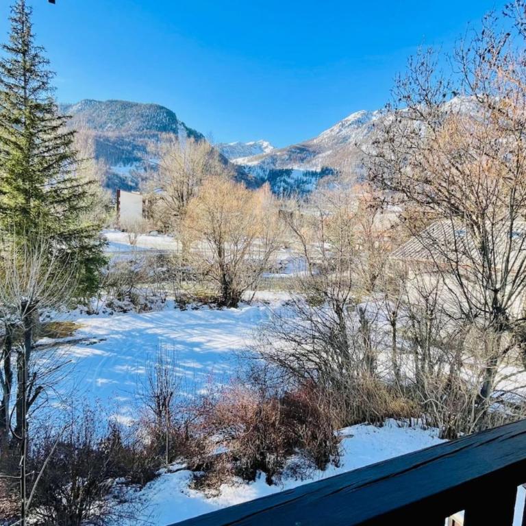 Charmant logement familial à La Salle-les-Alpes - Appartement - 1
