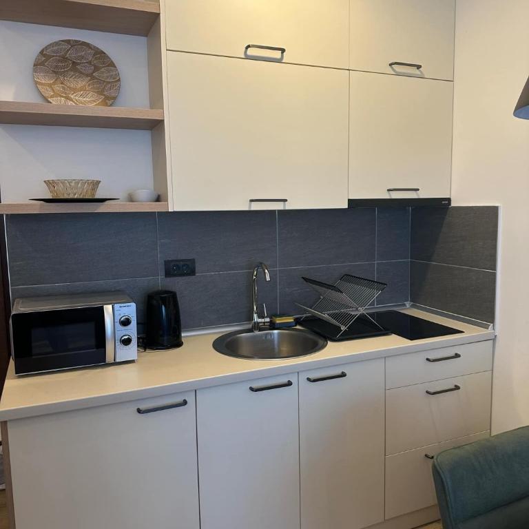 Apartman B64 Residence Hill Kopaonik - One-Bedroom Apartment - 4