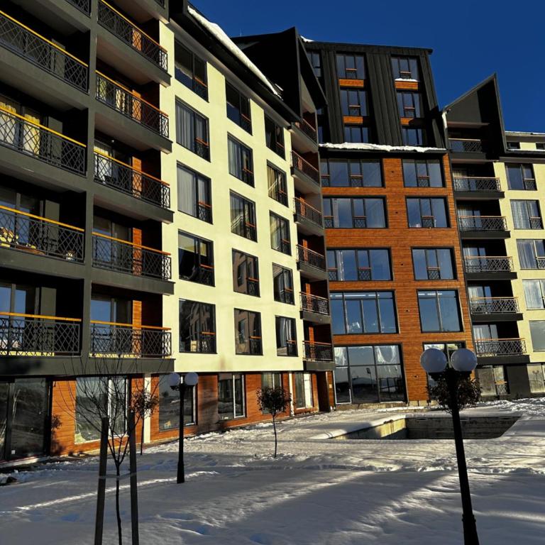 Woodland B65 Residence Hill Kopaonik - Apartman sa 1 Spavaćom Sobom - 42