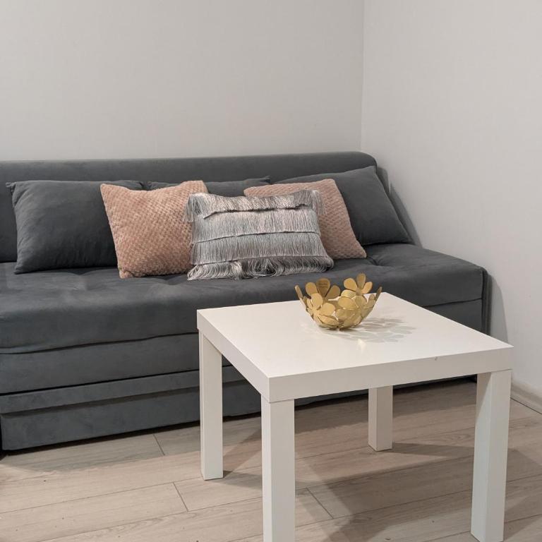 Ana Milesevska - Apartman sa 1 Spavaćom Sobom - 1