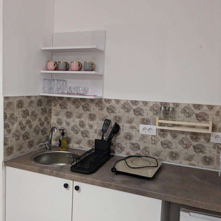 Ana Milesevska - Apartman sa 1 Spavaćom Sobom - 2